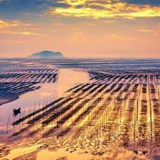 Sandy Andolong avatar